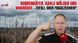 Borkenkäfer, kahle Wälder und Windräder: Zufall oder ein versteckter Plan?